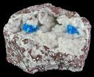 Vibrant Blue Cavansite Clusters on Stilbite - India #67798-2
